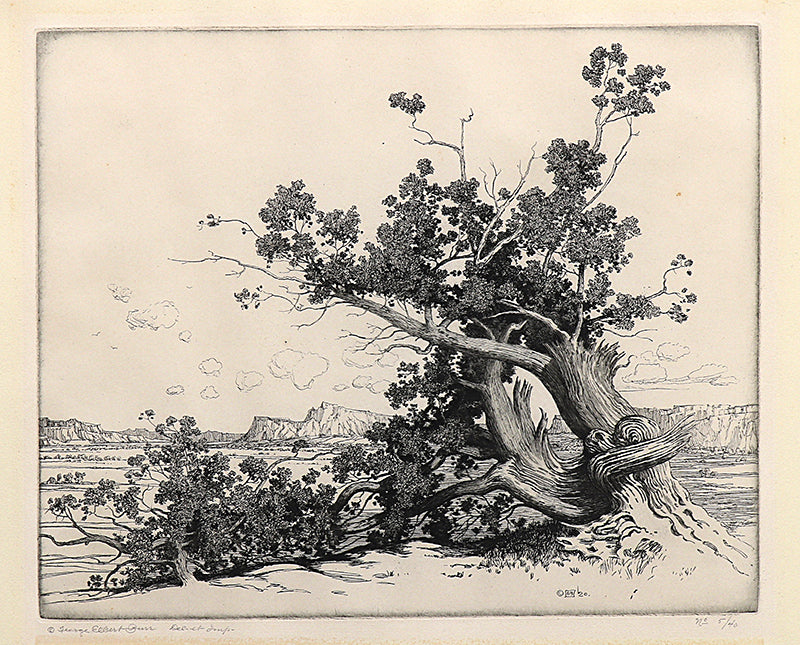 George Elbert Burr (1859-1939) artwork for sale. Old Cedars, New Mexico (Desert Set), Print, circa 1921, Denver, Colorado, Art Gallery)
