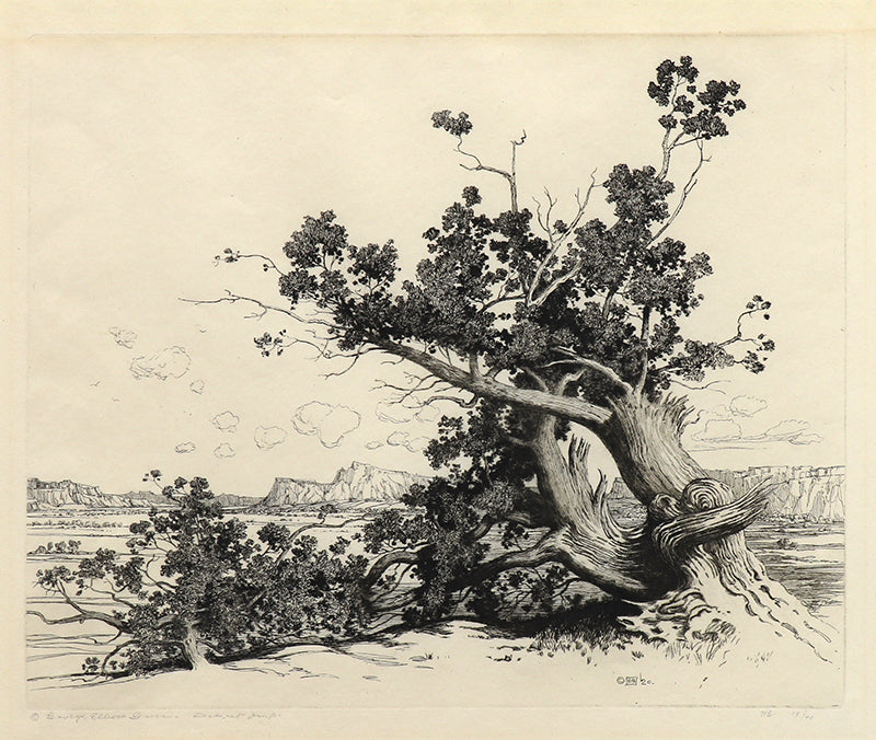 George Elbert Burr (1859-1939) artwork for sale. Old Cedars, New Mexico (Desert Set), Print, circa 1921, Denver, Colorado, Art Gallery)