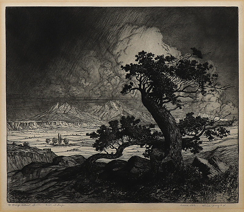 George Elbert Burr (1859-1939) artwork for sale. Old Cedars and Spanish Peaks (Colorado), Print, circa 1922, Denver, Colorado, Art Gallery)