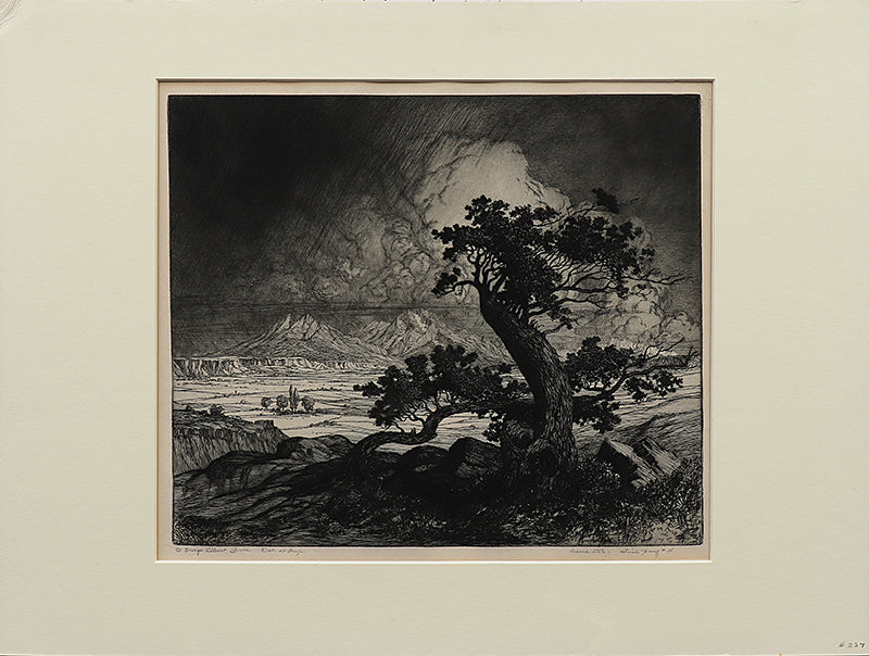 Old Cedars and Spanish Peaks (Colorado), Print, circa 1922
