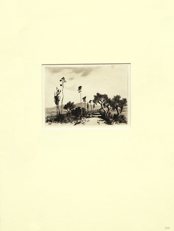 Road in the Campagna, Rome (Italy), Print, circa 1905