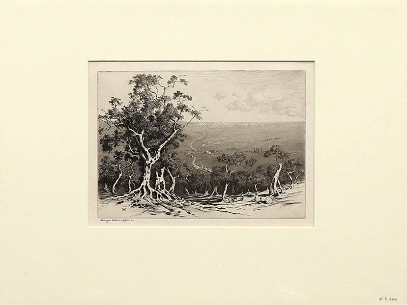 Rome from Tivoli (Italy), Print, circa 1905