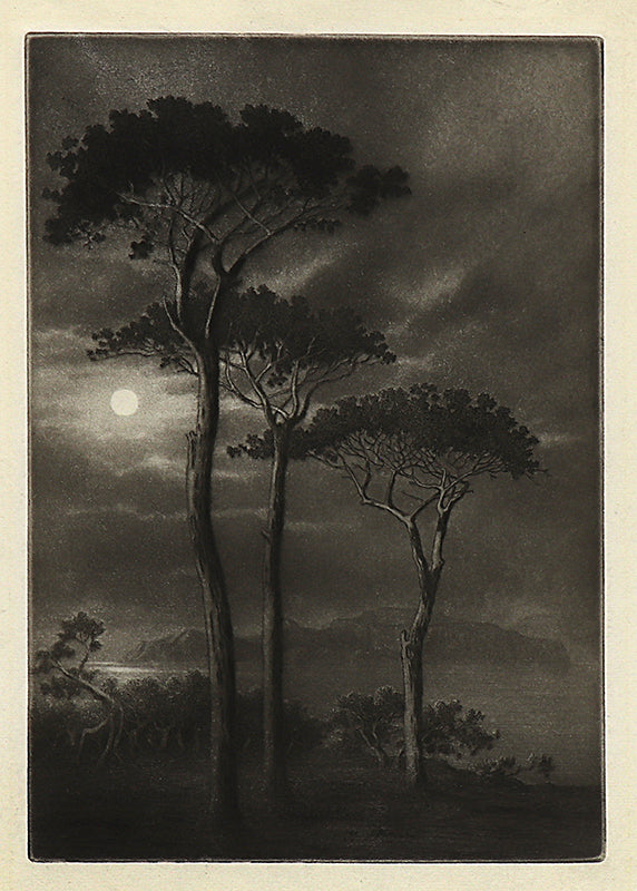 George Elbert Burr (1859-1939) artwork for sale. Capri from Sorrento (Italy), Print, circa 1905, Denver, Colorado, Art Gallery)