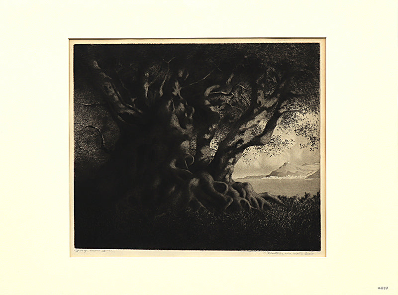 Old Olive and Monte Carlo (France), Print, circa 1905