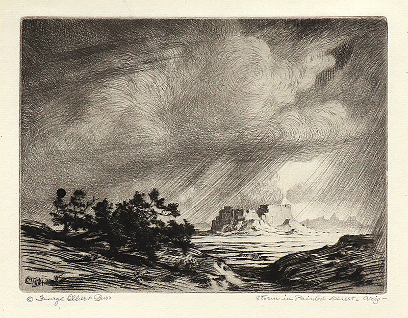 George Elbert Burr (1859-1939) artwork for sale. Storm in Painted Desert, Arizona (Landscape with Desert and Storm), Print, circa 1925, Denver, Colorado, Art Gallery)