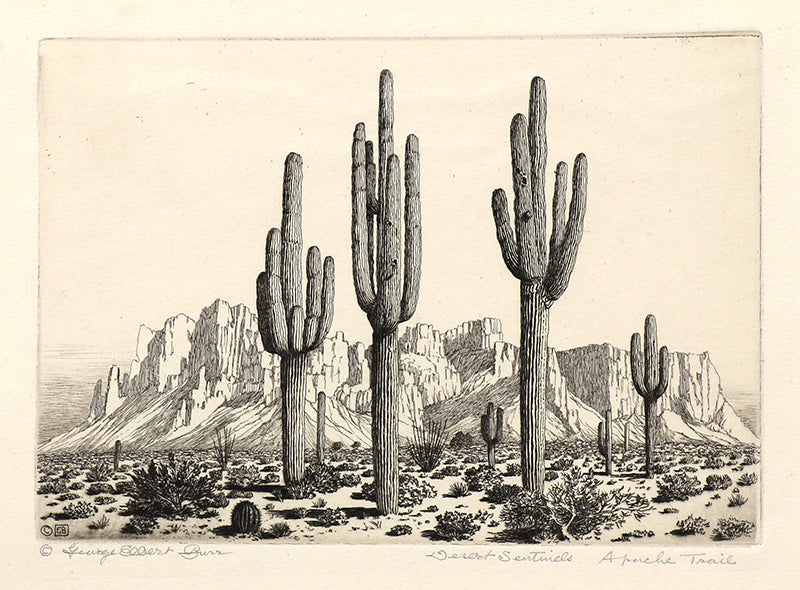 George Elbert Burr (1859-1939) artwork for sale. Desert Sentinels, Apache Trail (Arizona), Print, circa 1925, Denver, Colorado, Art Gallery)