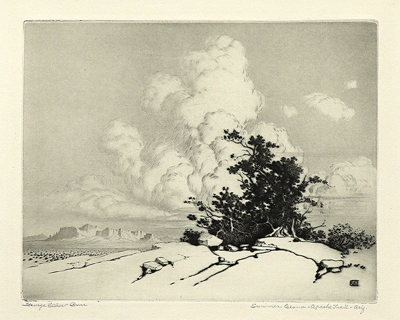 George Elbert Burr (1859-1939) artwork for sale. Summer Cloud, Apache Trail, Arizona (Landscape with Juniper and Clouds), Print, circa 1925, Denver, Colorado, Art Gallery)