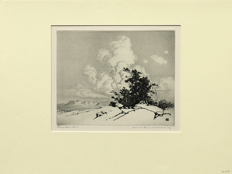 Summer Cloud, Apache Trail, Arizona (Landscape with Juniper and Clouds), Print, circa 1925