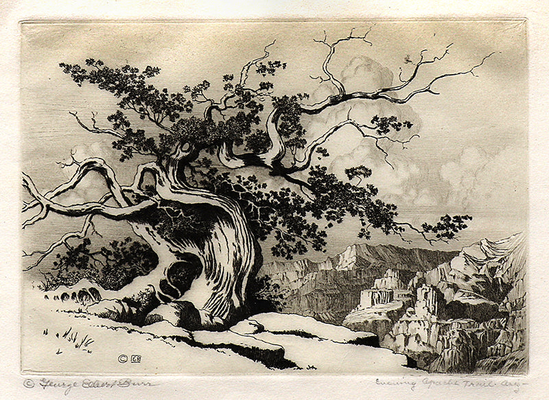 George Elbert Burr (1859-1939) artwork for sale. Evening, Apache Trail, Arizona (Landscape with Canyon and Pinon Pine), Print, circa 1925, Denver, Colorado, Art Gallery)