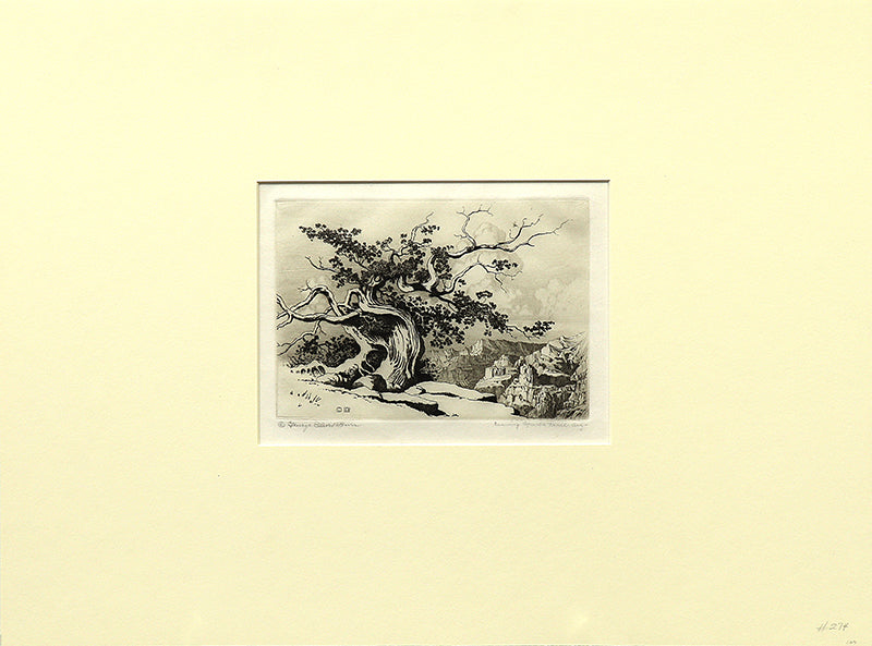 Evening, Apache Trail, Arizona (Landscape with Canyon and Pinon Pine), Print, circa 1925