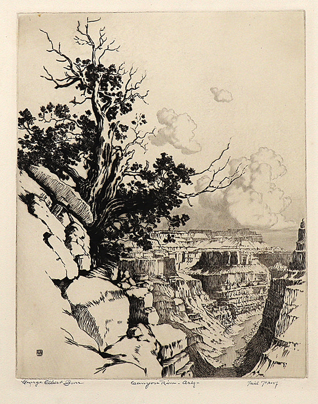 George Elbert Burr (1859-1939) artwork for sale. Canyon Rim, Arizona (Canyon with River and Trees), Print, circa 1925, Denver, Colorado, Art Gallery)