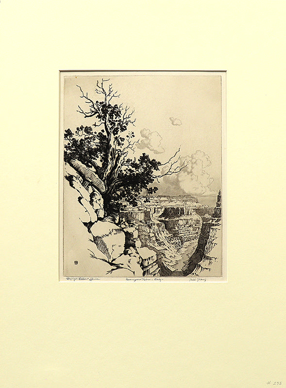 Canyon Rim, Arizona (Canyon with River and Trees), Print, circa 1925