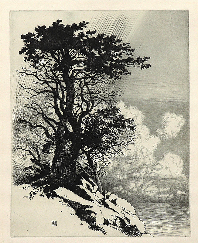 George Elbert Burr (1859-1939) artwork for sale. Coast at Monterey, California (Landscape of Coast with Trees and Rocks), Print, circa 1925, Denver, Colorado, Art Gallery)