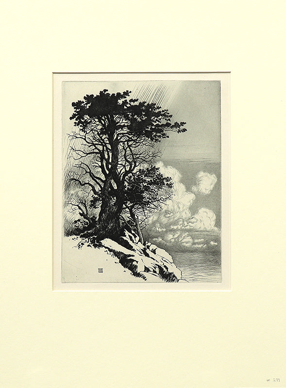 Coast at Monterey, California (Landscape of Coast with Trees and Rocks), Print, circa 1925