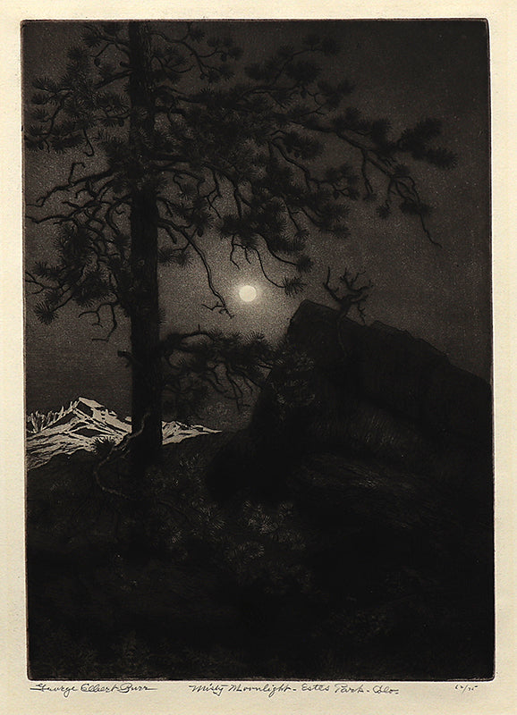 George Elbert Burr (1859-1939) artwork for sale. Misty Moonlight, Estes Park, Colorado (Nocturnal Mountain Landscape), Print, circa 1915, Denver, Colorado, Art Gallery)
