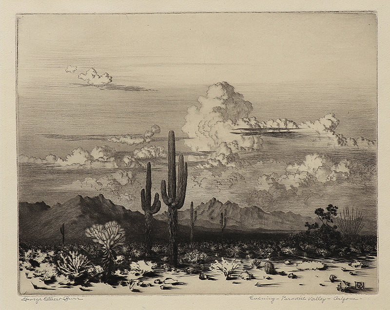 George Elbert Burr (1859-1939) artwork for sale. Evening, Paradise Valley, Arizona (Landscape with Cacti and Mountains), Print, circa 1925, Denver, Colorado, Art Gallery)