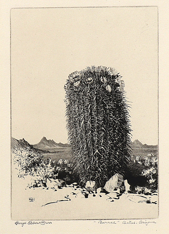 George Elbert Burr (1859-1939) artwork for sale. Barrel Cactus, Arizona (Desert Set), Print, circa 1921, Denver, Colorado, Art Gallery)
