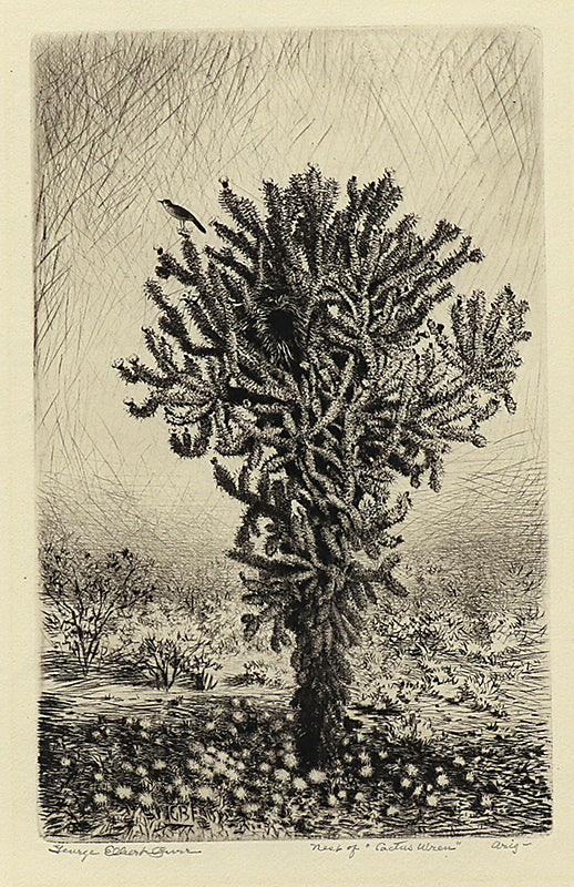 George Elbert Burr (1859-1939) artwork for sale. Nest of Cactus Wren, Arizona (Landscape with Cactus and Bird), Print, circa 1925, Denver, Colorado, Art Gallery)