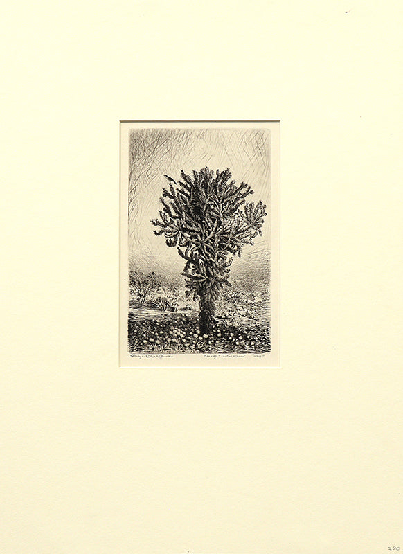 Nest of Cactus Wren, Arizona (Landscape with Cactus and Bird), Print, circa 1925