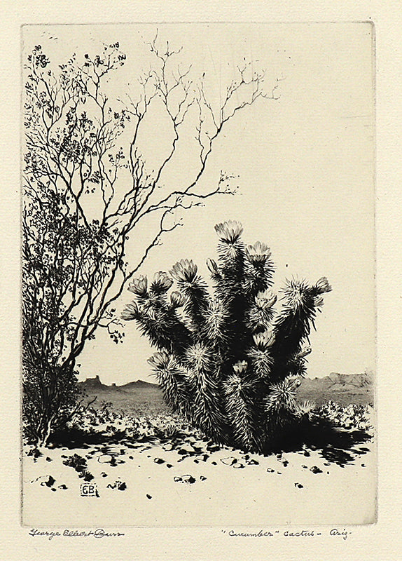 George Elbert Burr (1859-1939) artwork for sale. Cucumber Cactus, Arizona (Landscape of Desert Cacti), Print, circa 1925, Denver, Colorado, Art Gallery)