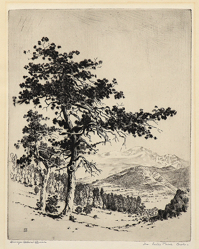 George Elbert Burr (1859-1939) artwork for sale. In Estes Park, Colorado (Landscape with Pine Trees and Mountains), Print, circa 1915, Denver, Colorado, Art Gallery)
