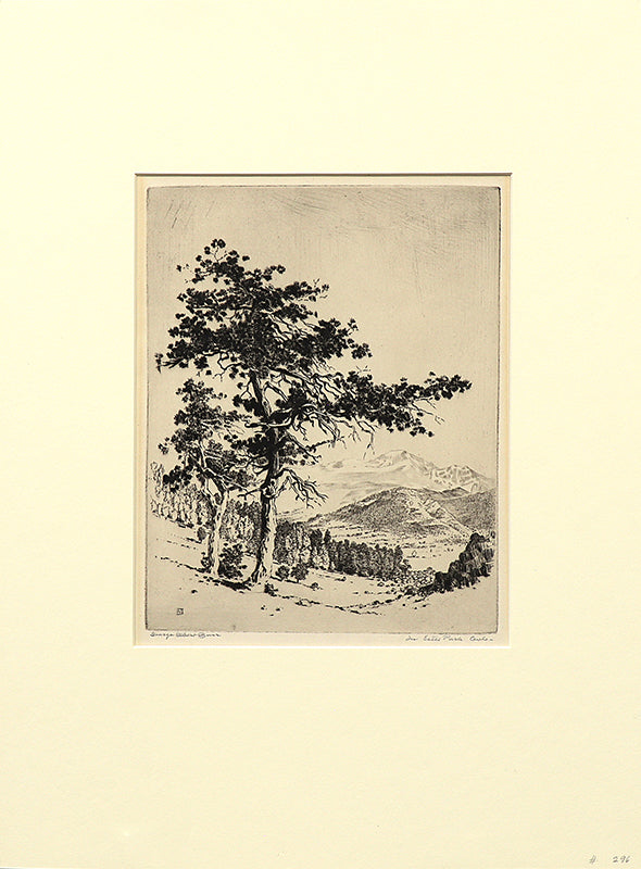 In Estes Park, Colorado (Landscape with Pine Trees and Mountains), Print, circa 1915