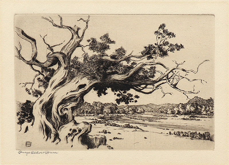 George Elbert Burr (1859-1939) artwork for sale. Hassayampa River, Arizona (Landscape with River and Pinon Pine), Print, circa 1925, Denver, Colorado, Art Gallery)