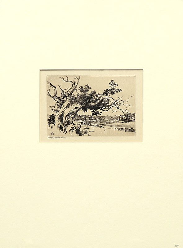 Hassayampa River, Arizona (Landscape with River and Pinon Pine), Print, circa 1925