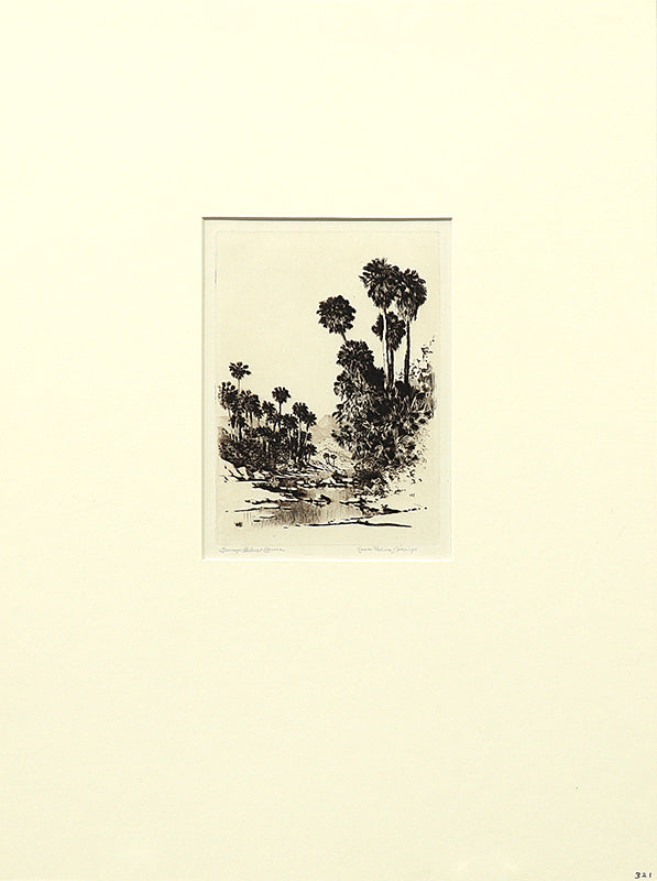Palm Canyon Near Palm Springs (Desert Set), Print, circa 1921