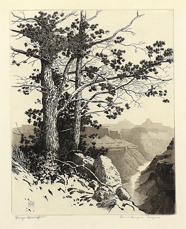 George Elbert Burr (1859-1939) artwork for sale. Grand Canyon, Arizona (Desert Set), Print, 1931, Denver, Colorado, Art Gallery)