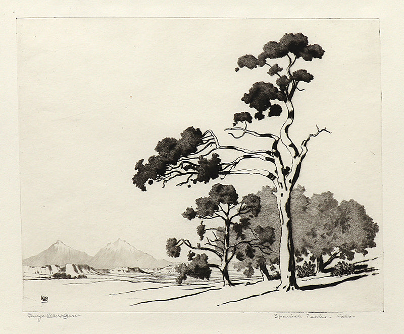George Elbert Burr (1859-1939) artwork for sale. Spanish Peaks, Colorado, Print, circa 1925, Denver, Colorado, Art Gallery)