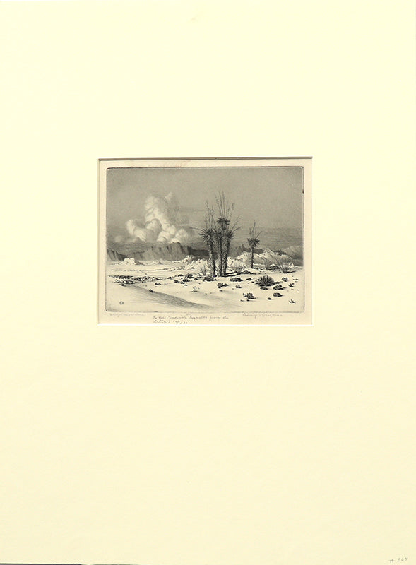 Evening, Arizona (Arizona Landscape with Yucca), Print, circa 1925