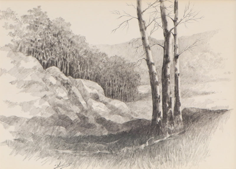 Herbert Thomson (1926-2001) artwork for sale. Untitled (Aspen Grove, Colorado), Drawing, Denver, Colorado, Art Gallery)