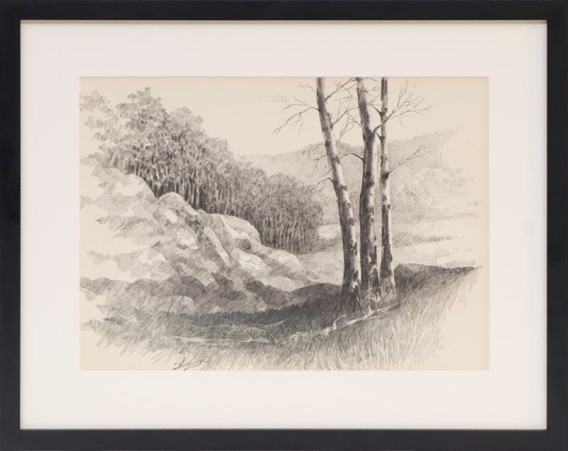 Untitled (Aspen Grove, Colorado), Drawing