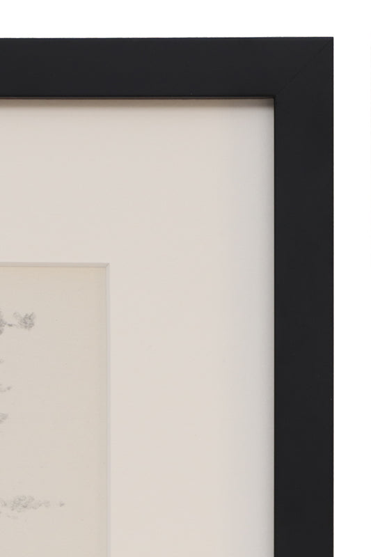 Untitled (Old Bristlecone Pine), Drawing