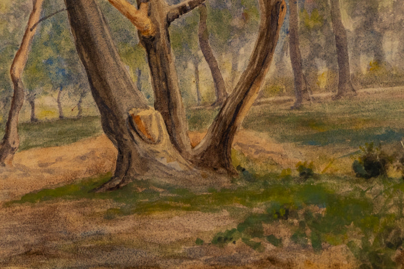 Untitled (Spring Trees, Near Denver, Colorado), Painting, 1888
