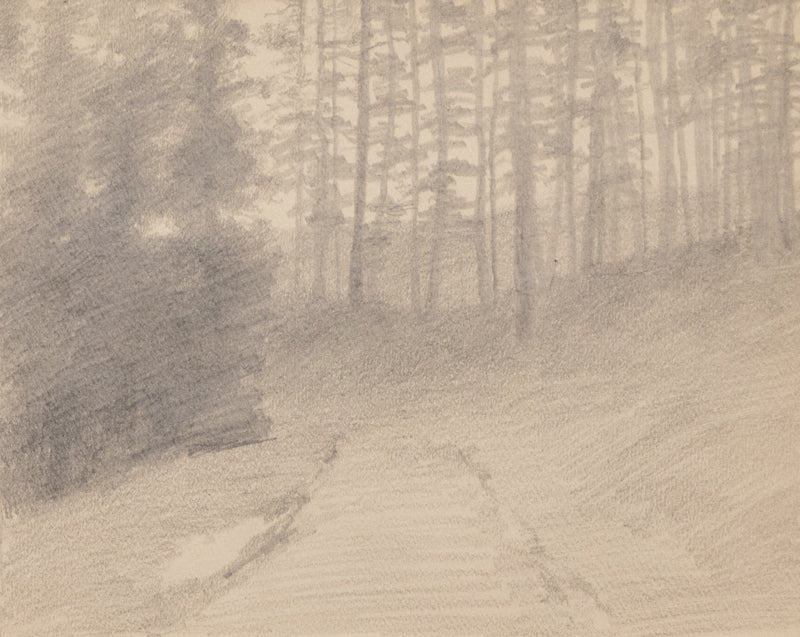 Charles Partridge Adams (1858-1942) artwork for sale. Untitled (Mountain Forest Path), Drawing, circa 1910, Denver, Colorado, Art Gallery)