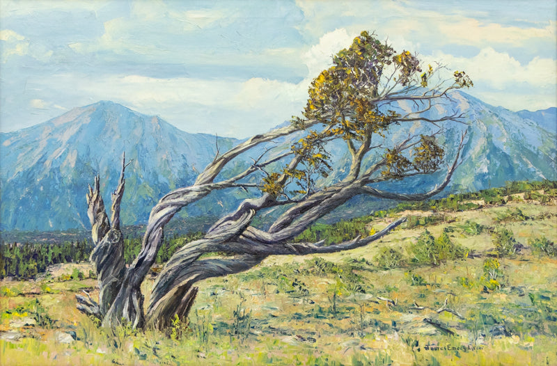 James Greer (1903-1990) artwork for sale. Battered by Wind and Storms, Sangre de Cristos (Colorado), Painting, circa 1980, Denver, Colorado, Art Gallery)