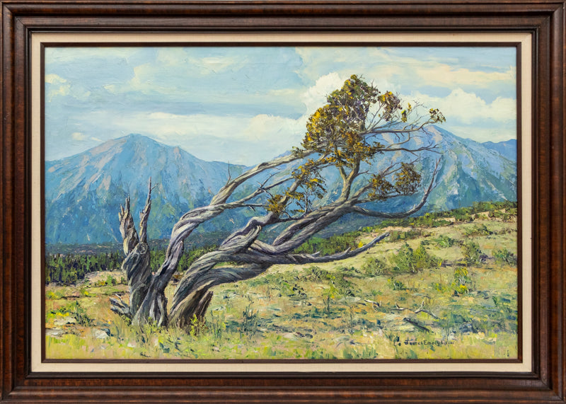 Battered by Wind and Storms, Sangre de Cristos (Colorado), Painting, circa 1980