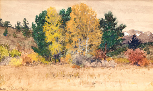 Charles Partridge Adams (1858-1942) artwork for sale. Untitled (Trees in Autumn, Colorado), Painting, circa 1900, Denver, Colorado, Art Gallery)