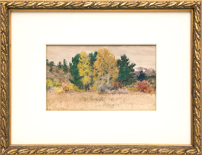 Untitled (Trees in Autumn, Colorado), Painting, circa 1900