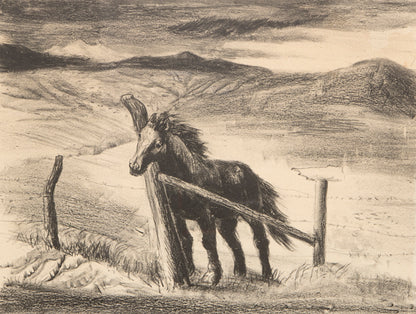 Lawrence Barrett (1897-1973) artwork for sale. Forgotten, 53/80 (Horse by Fence), Print, 1943, Denver, Colorado, Art Gallery)