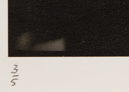 Torso with Blowing Shirt (3/5), Photograph, 1988