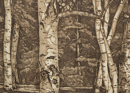 Rhythm in White (Aspen Grove), Print, circa 1950