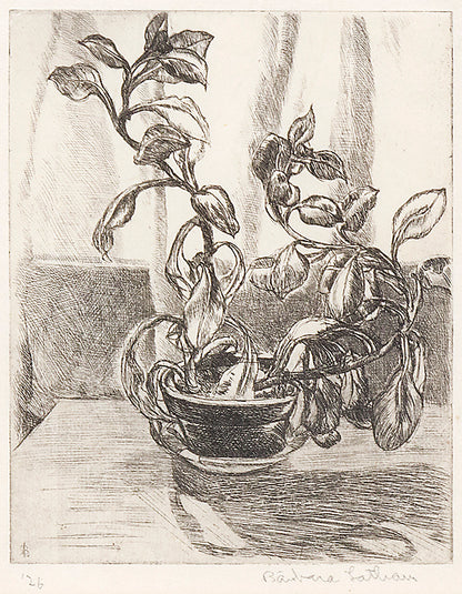 Barbara Latham (1896-1989) artwork for sale. Untitled (Still Life), Print, 1926, Denver, Colorado, Art Gallery)