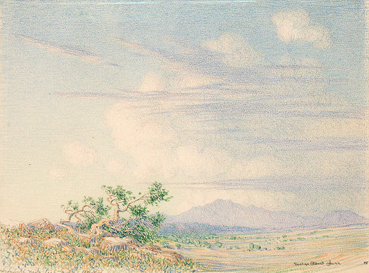 George Elbert Burr (1859-1939) artwork for sale. Morning Near Arizona (Desert Landscape), Drawing, 1888, Denver, Colorado, Art Gallery)