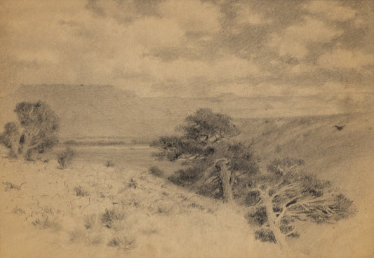 Charles Partridge Adams (1858-1942) artwork for sale. Untitled (Southern Colorado Landscape), Drawing, circa 1910, Denver, Colorado, Art Gallery)