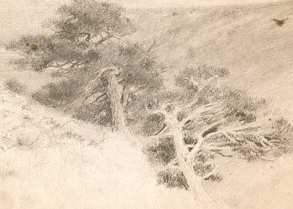 Untitled (Southern Colorado Landscape), Drawing, circa 1910