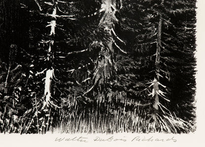 Mt Lassen; 19/20 (Northern California), Print