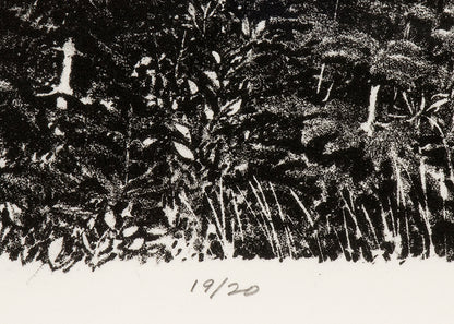 Mt Lassen; 19/20 (Northern California), Print